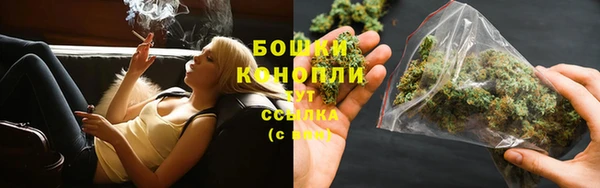 шишки Алексеевка
