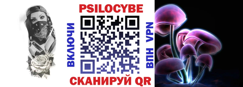 это клад Сухиничи Галлюциногенные грибы GOLDEN TEACHER